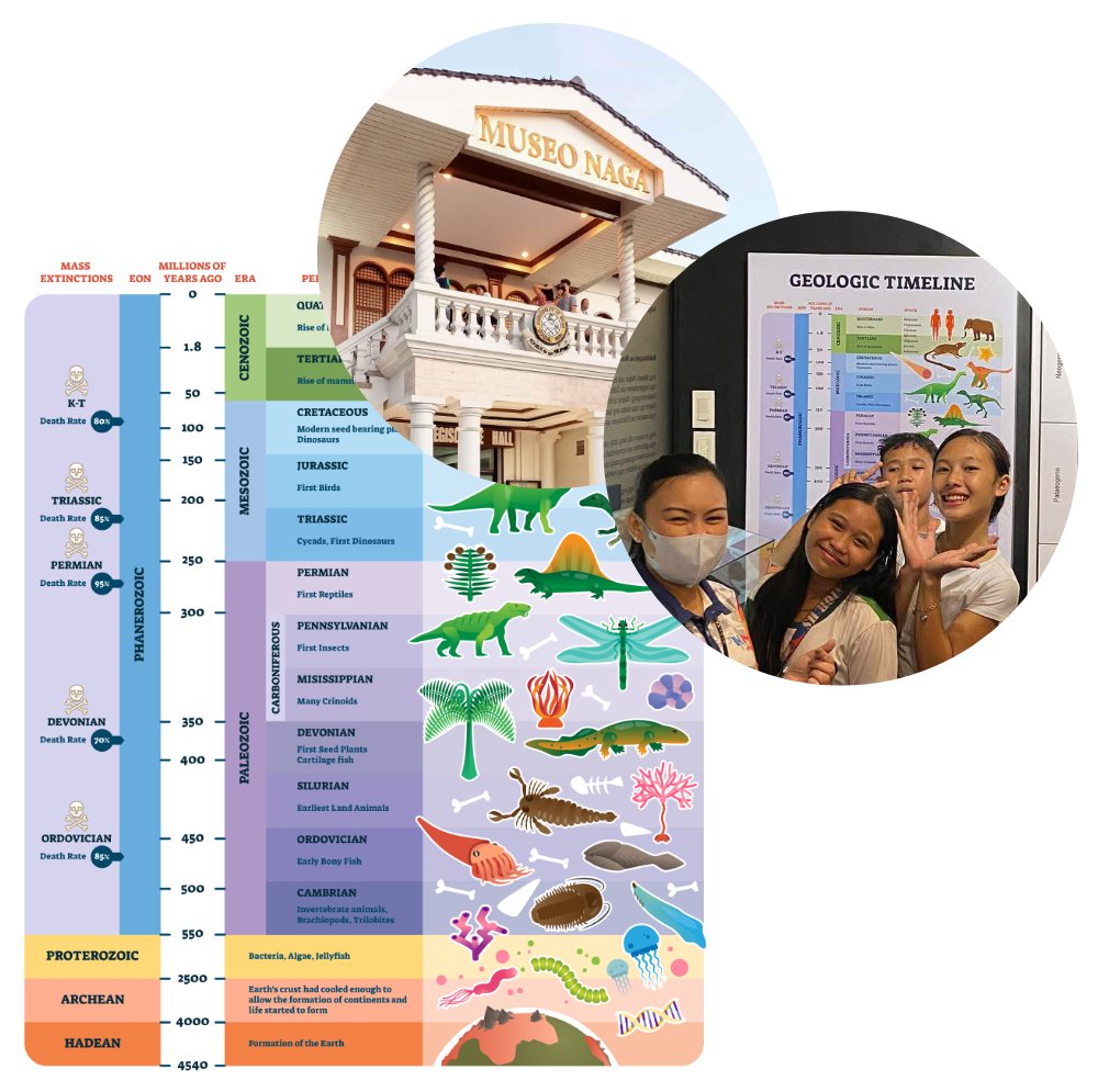 Museum of Naga exhibition featuring VectorMine illustration
